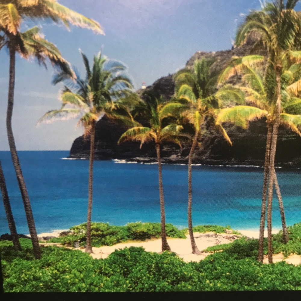 Meet your Posher, Katrina